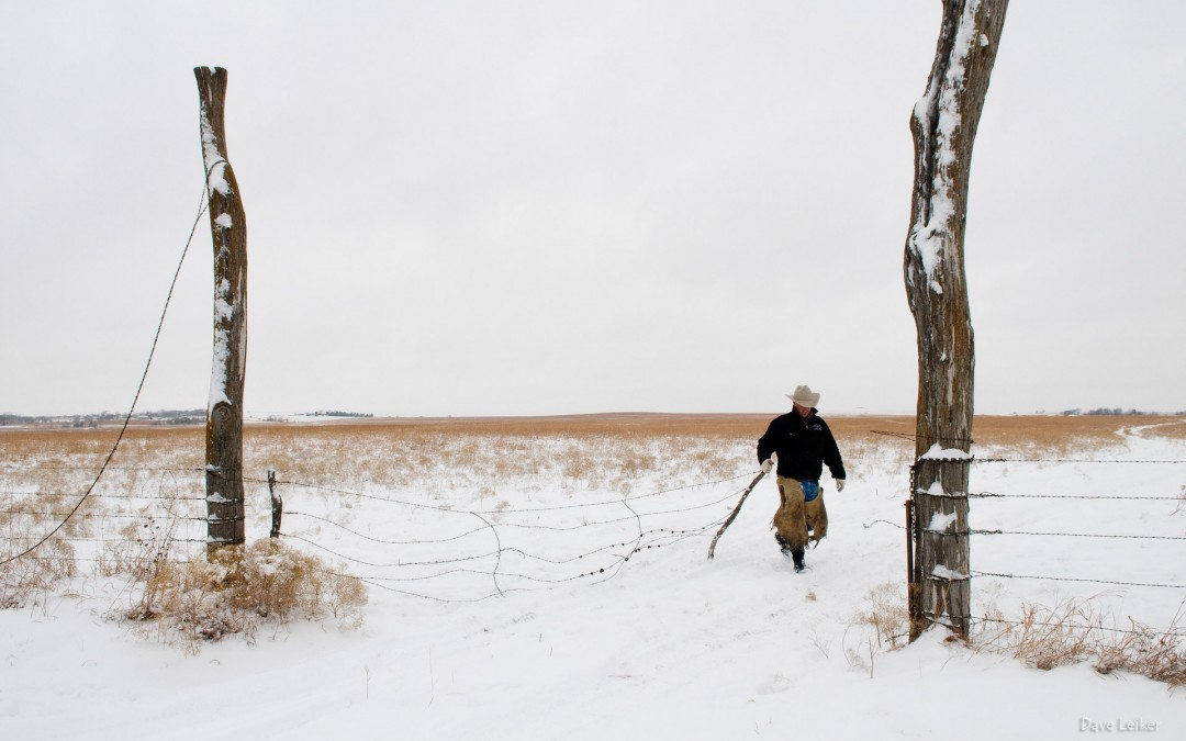 Photo Stories, Environmental Portraits