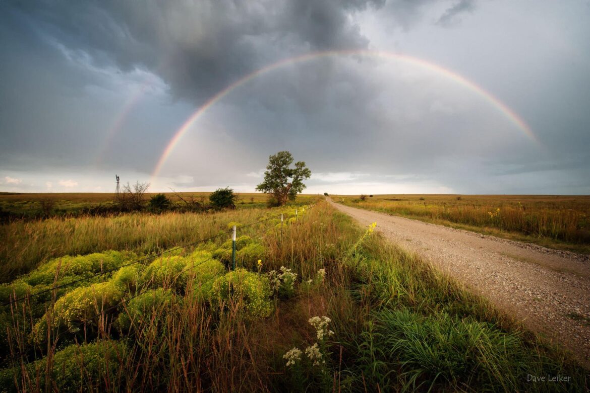 Rainbow over a country road with wildflowers