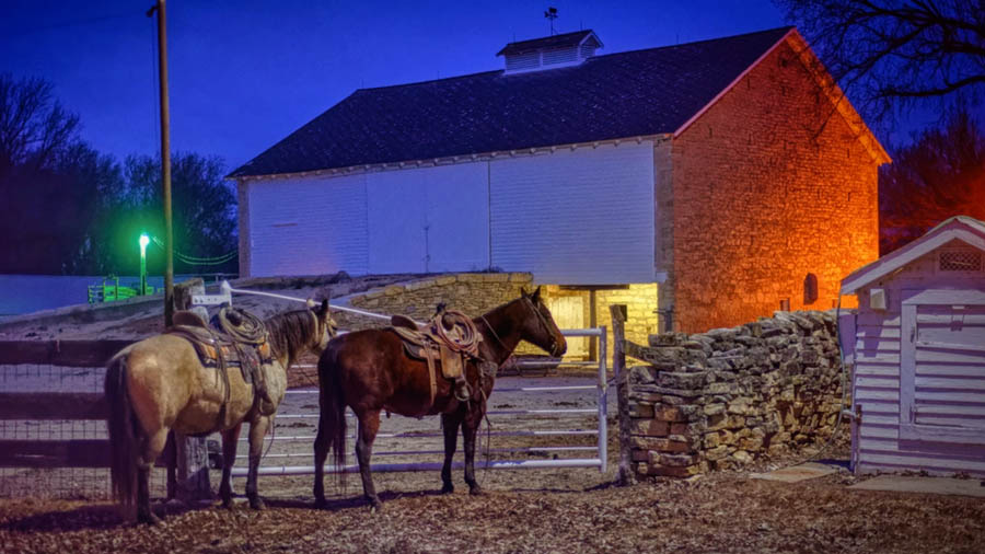 Horse in front of white barn at dawn