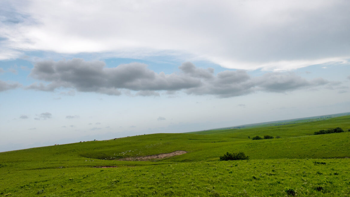 Grasslands with soft clouds