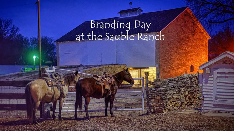 Photos of horses tied near barn