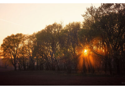 setting sun's light blooms in smoke filled tree line