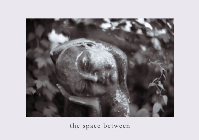 The Space Between cover: resting sculpture in a garden